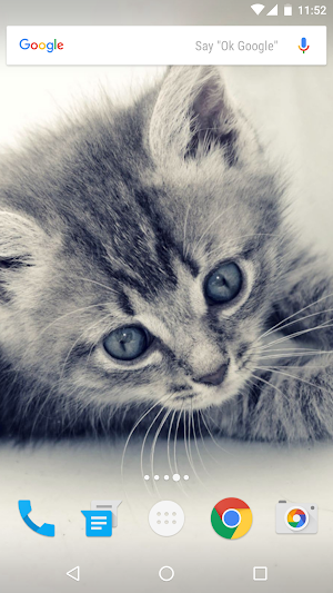 Cats Wallpapers Screenshot 1