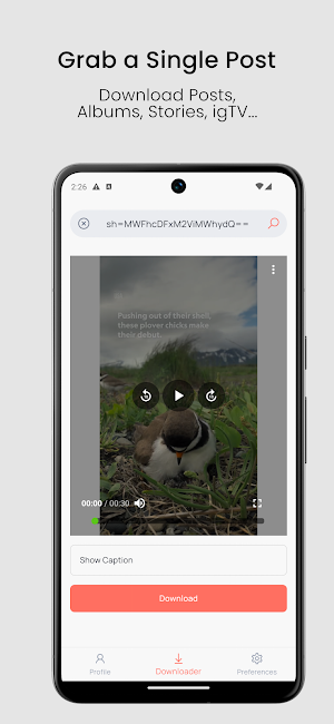 SocialGrab: Story & Reel Saver Screenshot 2