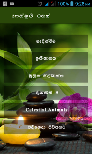 Feng Shui Screenshot 1