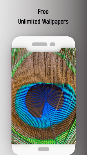 Love bird Live wallpaper Screenshot 1