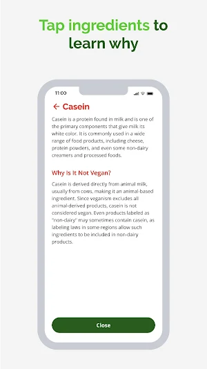 Vegan Verify: Instant Scanner Screenshot 3