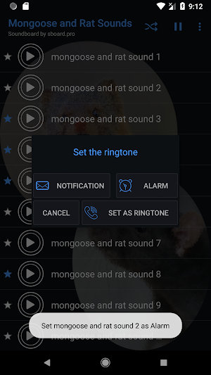 เสียงพังพอนและหนู เน้นต่อ ~ Sboard.pro Screenshot 1