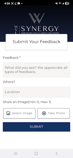 WVL Synergy Screenshot 2
