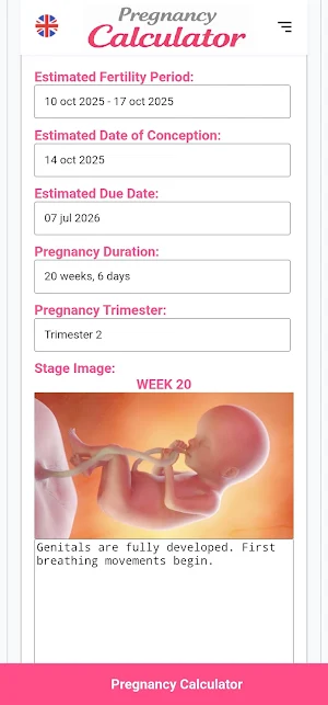 Pregnancy Calculator Screenshot 2
