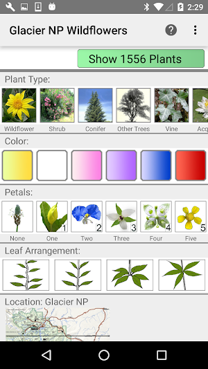 Glacier NP Wildflowers Screenshot 0