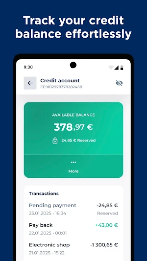 Bigbank Screenshot 1
