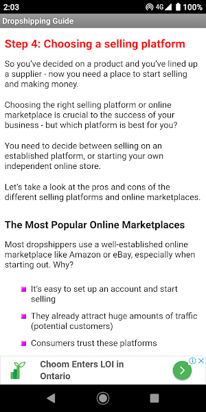 Dropshipping Guide for Beginne Screenshot 2