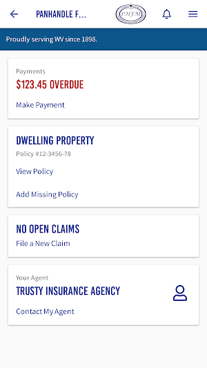 Panhandle Insurance Screenshot 0