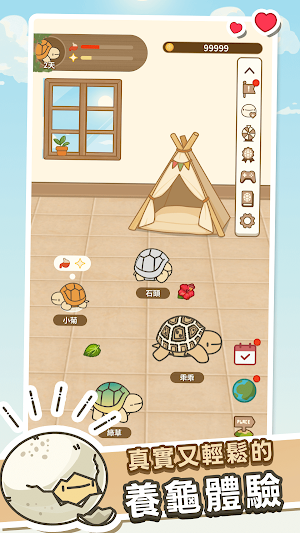 口袋陸龜 Screenshot 1