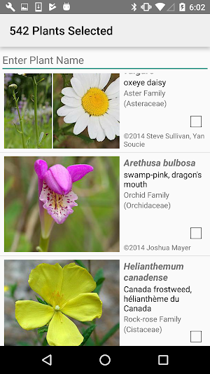 New Jersey Wildflowers Screenshot 2