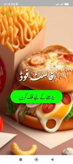 Fastfood Recipes Urdu: Offline Screenshot 2