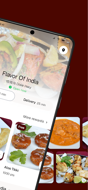 Flavor of India - FL Screenshot 1