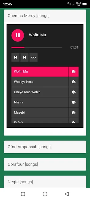 All Ghana Music: Mp3 Songs Screenshot 1