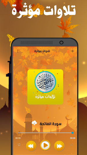 تلاوات مؤثرة - المصحف كامل Screenshot 2