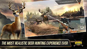DEER HUNTER CLASSIC Screenshot 0