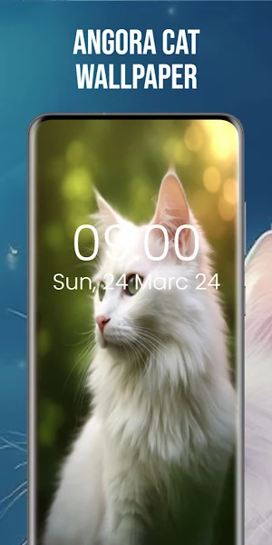 Angora Cat Wallpaper Screenshot 2