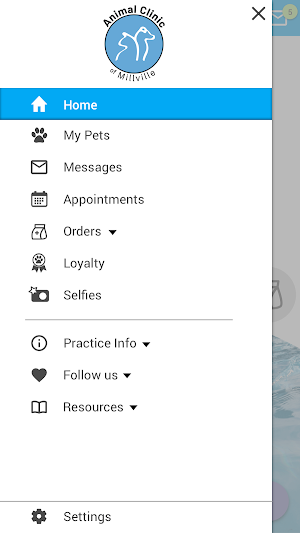 Millville Vet Screenshot 1