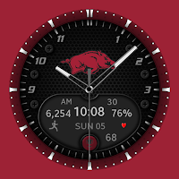 Arkansas Razorbacks Premium