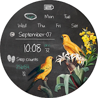 BFF131- Blackboard Art Macaw
