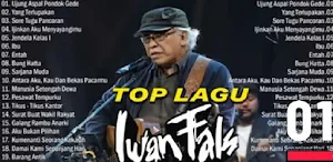 LAGU IWAN FALS LENGKAP OFFLINE Screenshot 0