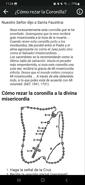 Chaplet of the Divine Mercy Screenshot 3