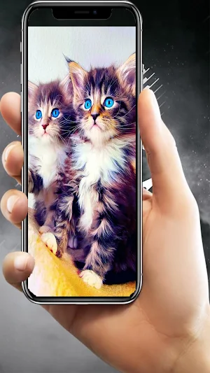 Kitten Lock Screen Screenshot 0