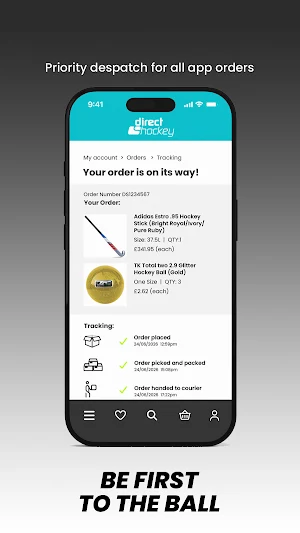 Direct Hockey Screenshot 3