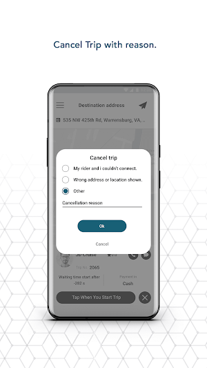 Whizzy Chauffeur Screenshot 1