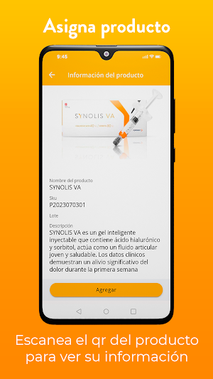 Synolis Screenshot 3