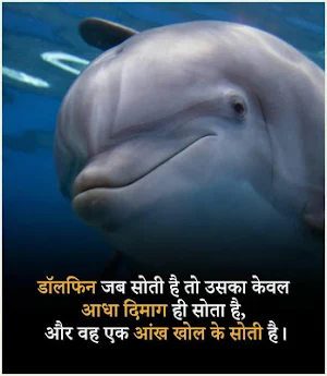 रोचक तथ्य | Rochak Tathya - Unknown Facts in Hindi Screenshot 3