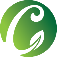 Cardamom Auction