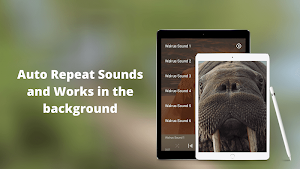 Walrus Sounds Screenshot 2