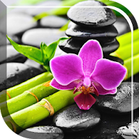 Orchid Live Wallpaper