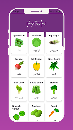 Learn Vegetable Names in Urdu Screenshot 2