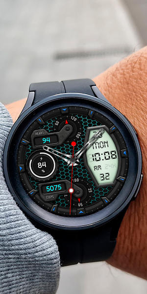 SKARTUM WD149 Watch face Screenshot 3