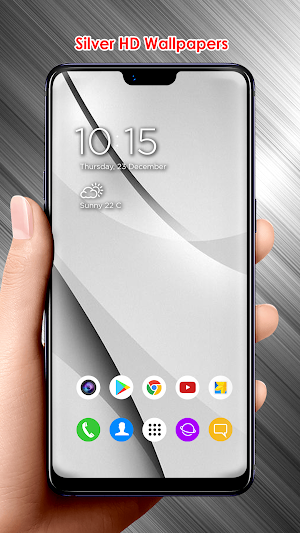 Silver HD Wallpapers Screenshot 3