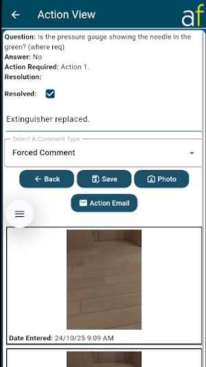 AuditForm Resolution Screenshot 2