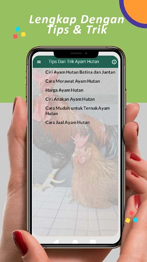Suara Pancingan Ayam Hutan Screenshot 3
