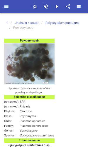 Plant diseases Screenshot 3