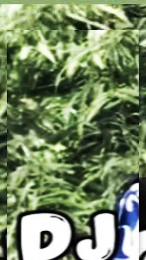 DJ Joanna Screenshot 1