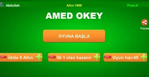 AMED Okey (İnternetsiz) Screenshot 0