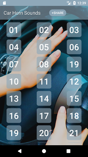 Car Horn Sounds Screenshot 0