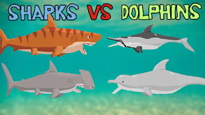 Shark Fights Killer Whale Screenshot 1