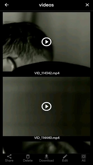 NitehogGecko Screenshot 2