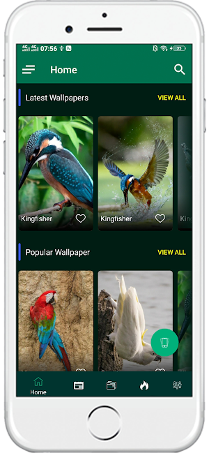 1000+ Birds Wallpapers 4K HD Screenshot 1