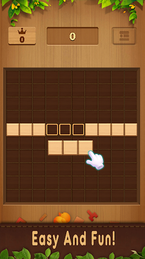Wood Block Puzzle Game! Screenshot 3
