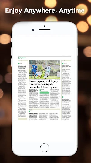 The Lowestoft Journal Screenshot 2
