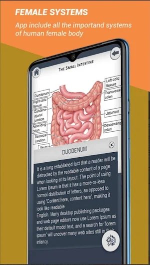 Female Anatomy3D Female Organs Screenshot 2