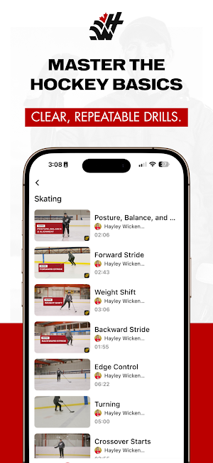 Wick Hockey Screenshot 1