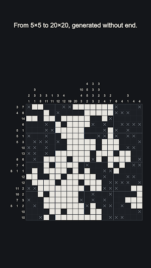 Picta · Nonogram Puzzle Screenshot 3
